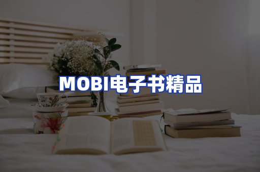 外文电子书产品